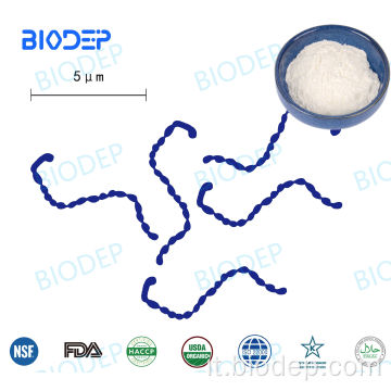 150b CFU/G Probiotics L. Mesenteroides